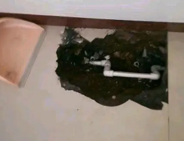 平桂卫生间测漏水多少钱